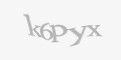 Защитный код